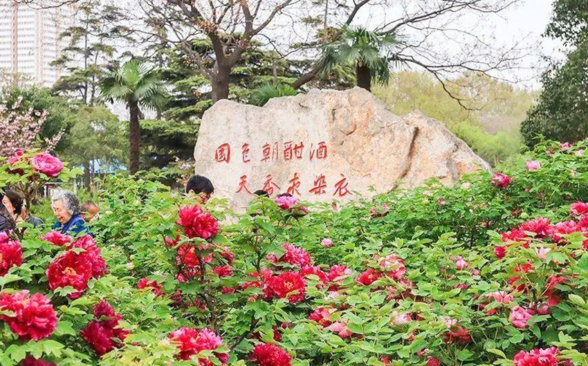 &#20048;&#40060;&#32593;&#39029;&#29256;&#30331;&#24405;&#20837;&#21475;&#45;&#20048;&#40060;&#40;&#20013;&#22269;&#41;